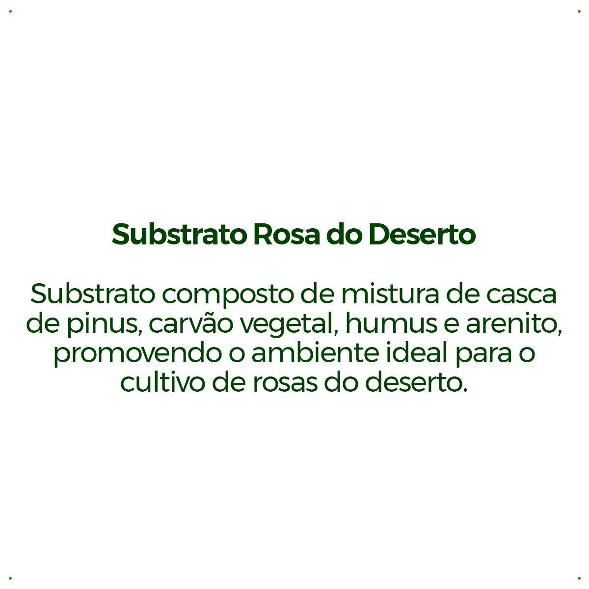 Substrato Forth Rosa do Deserto 2kg